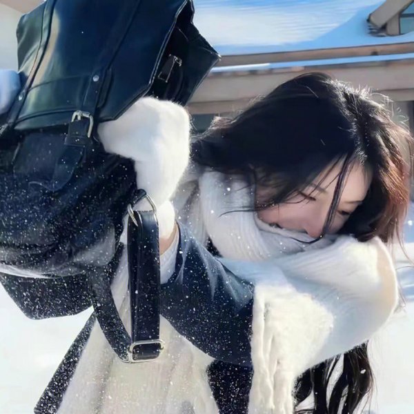 飞燕倾城